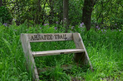 Bench along the Ahnapee Trail