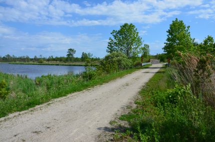 Bridge on Ahnapee Trail