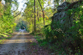 Rock wall along bike trail