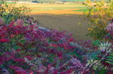 Colorful Scene from Badger State Trail