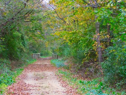 Bridge on Badger State Trail