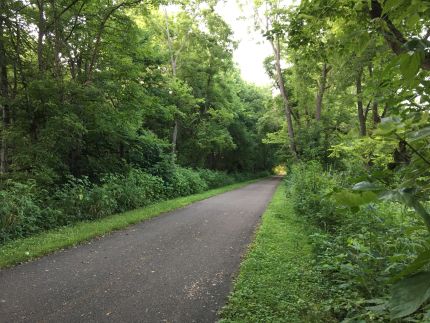 Tunnel of trees on Little Miami Scenic Trail