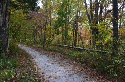 mcT and walkway around Sloans Crossing Pond.