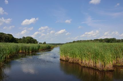 Wetlands and Stream into Moraine Hills Part