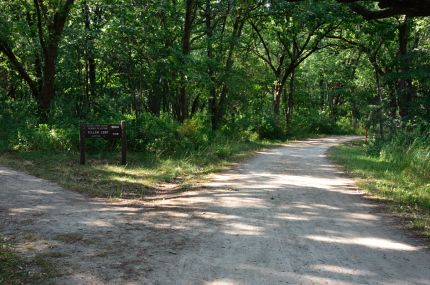 Trail to Black Tern Marsh Viewing Platform