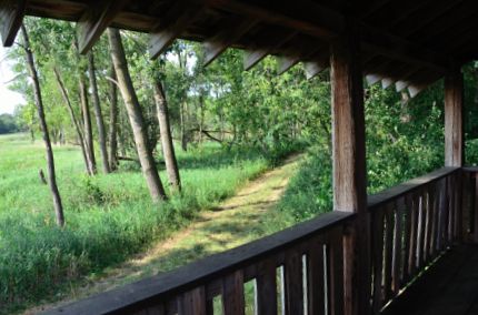 looking back from the Black Tern Marsh Viewing Platform