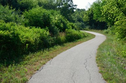 Ridge on Bike Path through Northern Woods