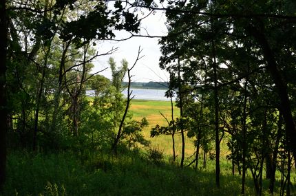 Lake Defiance seen through opening in trees