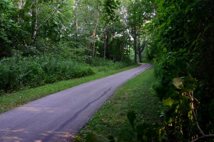 Wooded part of Oak Leaf Trail in Wisconsin