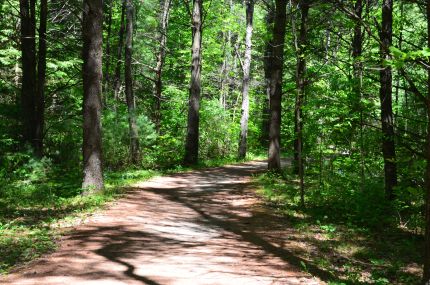 Peninsula State Park Trail back into the woods