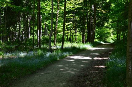 Northern part os Sunset Trail in Door County