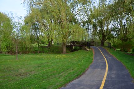 Bridge on the Prospect Heights trail