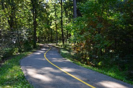 Curvy, wooded part of the TCT