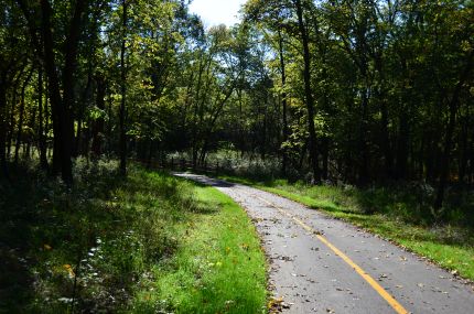 The Sauk Trail Woods loop on TCT