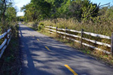 Old Plank ROld connection to Thorn Creek Trail