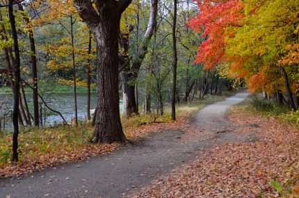 Bright fall colors on DPRT north of Lake Street