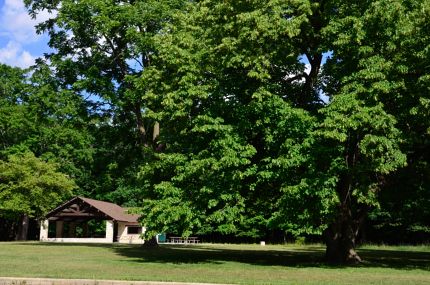 Pavilion at Patawatomi Woods in Wheeling