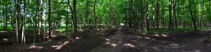 Wide view of Des Plaines River Trail