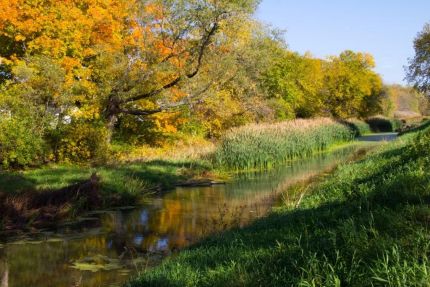 I&M canal wetland and fall color