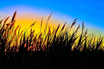 Sunset as seen from Harper College Bike path