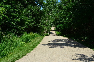 Steep Hill on the Millennium Trail