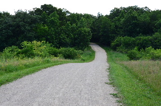 Steep Hill on the Millennium Trail