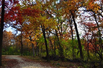 colorful part of Millennium Bike Trail