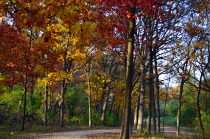 Fall scenery on bike trail