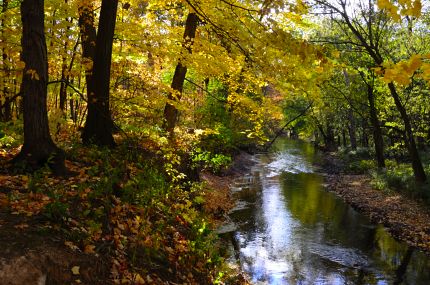 The North Branch River and Autumn colors