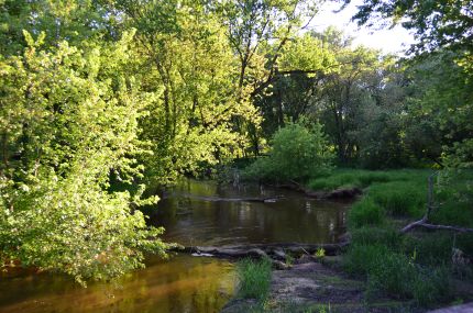 A Stream as seen from Long Bridge