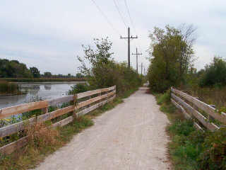 Lake by Illinois Prairie Path