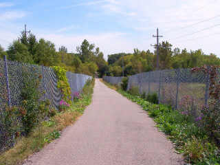 Chain link fenced area on IPP