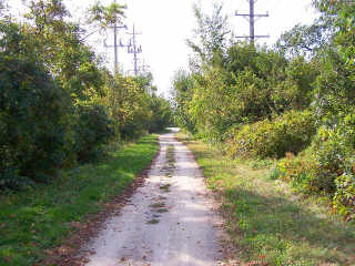 Overgrown part of bike path