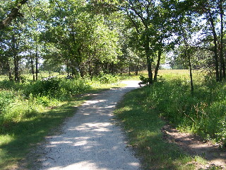 Shady bike trail in Illinois State Beach park