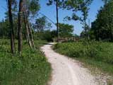 Illinois State Beach Bike Path through Woods