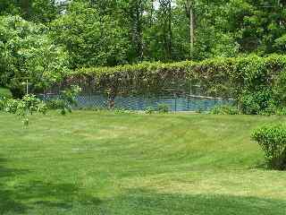 Overgrown Tennis Court in Inverness