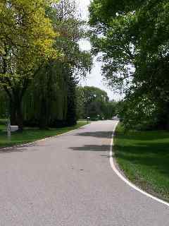 Riding on Tweed Road