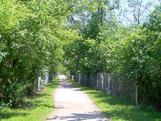 North Shore Trail wooded, fenced section