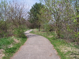 Winding through the wetlands