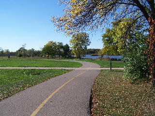 The purple path on the Busse Woods trail