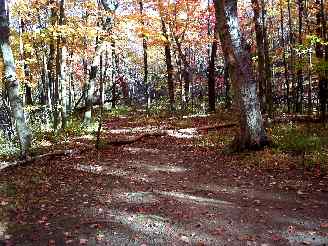 Dirt Trails in Deer Grove before being fenced off