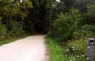 Wooded part of the DPRT bike trail