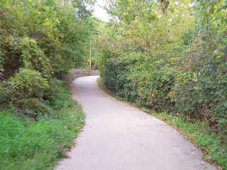 Fox River Trail through the woods