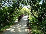 The pack mule sits in front of a bridge which leads from one canopy of trees into another