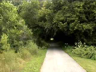 Thicker tree tunnel on LPT