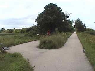 Rest area along Long Prairie Trail