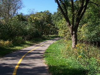 Winding through the woods on the PD Trail