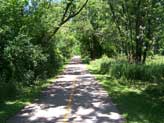 Poplar Creek Trail just past Barrington Pond