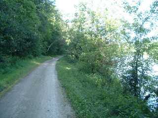 he Red Cedar trail offers both canopied and open sections