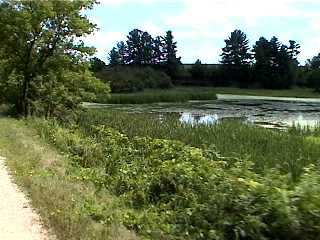 Wetland by Elroy Sparta trail